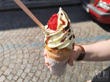 Фото: Гастроэнтеролог объяснил, чем опасно употребление мороженого в жару 1