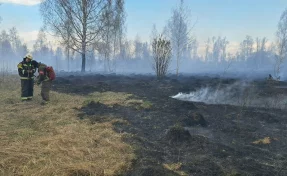 В Кемерове пожарные и спасатели 4 часа тушили горящую траву в СНТ «Радуга»