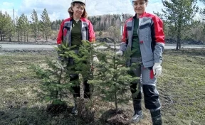 «Кузбассразрезуголь» в год своего 60-летия высадит более 2 млн деревьев