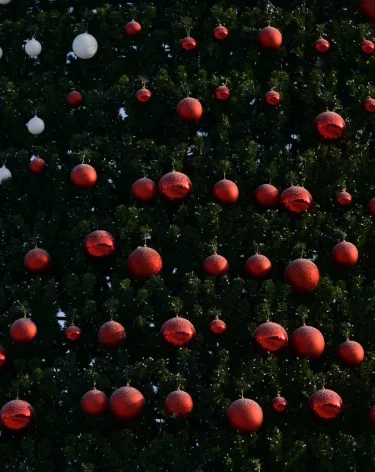 Эксперты назвали самые популярные предновогодние схемы мошенников