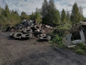 Фото: В Кемерове прокуратура нашла 48 свалок рядом с ГКБ №11: на них уже жаловались горожане 3