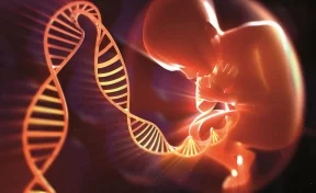 В Китае родились генетически модифицированные дети
