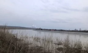 В Кузбассе вышедшая из берегов река подтопила дачные участки