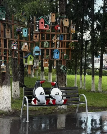 Фото: теруправление Центрального района