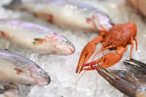 Рыбный форум: интерес россиян к аквакультурному туризму вырос на 20%