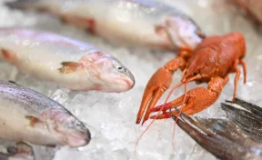 Рыбный форум: интерес россиян к аквакультурному туризму вырос на 20%