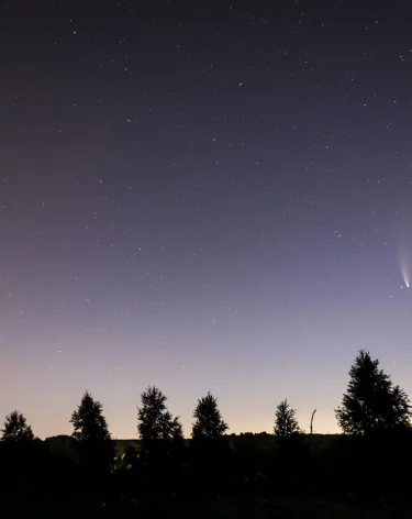 Силы ПВО ночью уничтожили 45 беспилотников над регионами РФ и Чёрным морем