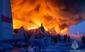 Эксперты оценили предполагаемый ущерб от пожара на складе Wildberries в Санкт-Петербурге