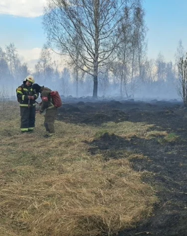 Фото: <a href=https://vk.com/wall-198880403_1350>Кемеровская служба спасения</a> / «ВКонтакте»