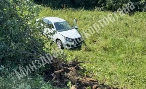 В Башкирии многодетная мать на машине съехала в кювет, пострадали 5 детей