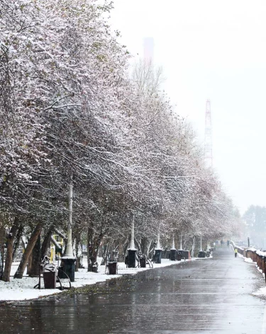 Какая погода ждёт кузбассовцев на длинных выходных: прогноз синоптиков