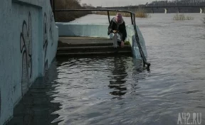 В МЧС назвали уровень паводков в Поволжье и на Урале максимальным в истории