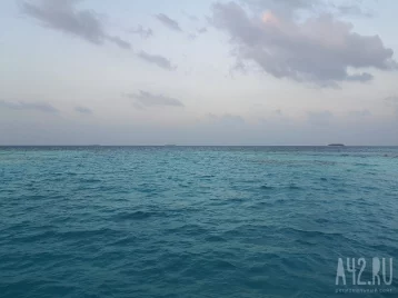 Фото: В Краснодарском крае в акватории Таманского залива разлилось около трёх тонн мазута 1