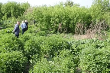 Фото: В Кемерове появится новая достопримечательность: её включат в экскурсионные маршруты 1