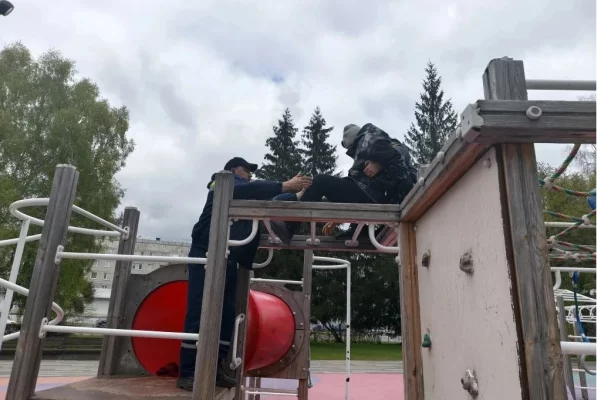 В Кемерове 11-летний мальчик вызвал спасателей, испугавшись высоты