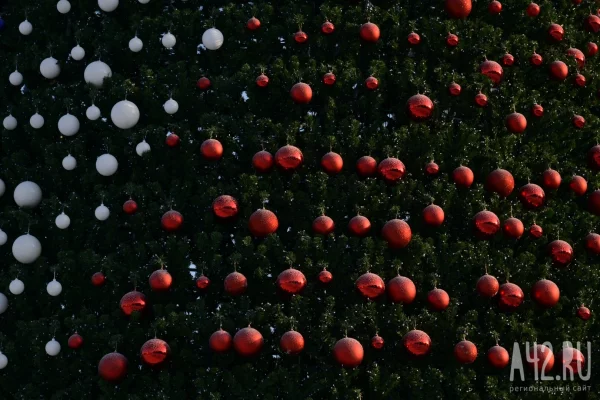 Эксперты назвали самые популярные предновогодние схемы мошенников