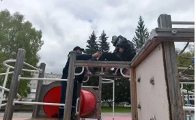 В Кемерове 11-летний мальчик вызвал спасателей, испугавшись высоты