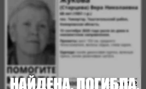 В Кузбассе пропавшую неделю назад женщину нашли погибшей