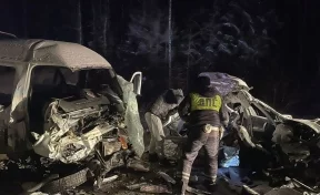 В ДТП с грузовиком на Урале погибли пять человек: опубликовано видео