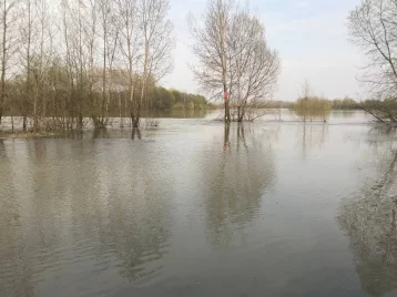 Фото: «Вода прибыла более чем на два метра»: мэр Новокузнецка сообщил о повышении уровня воды в реках 1