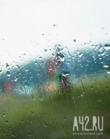 Фото: A42.RU