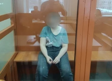 Фото: В Архангельске 17-летнюю школьницу подозревают в оправдании терроризма 1