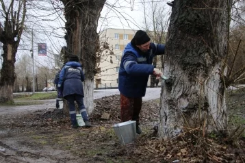 Фото: Южно-Кузбасская ГРЭС присоединилась к всекузбасскому субботнику 1