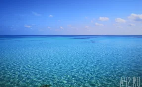 Россиянке потребовалась пересадка кожи после нападения акулы на Мальдивах