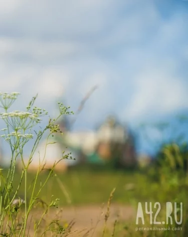 Фото: A42.RU