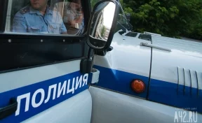 В Кемерове скандалист протрезвел от общения с полицейскими