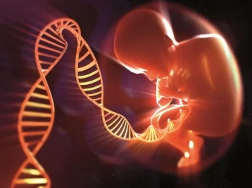 Фото: В Китае родились генетически модифицированные дети 1
