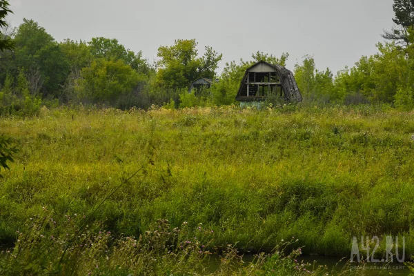 Росреестр напомнил кузбасским дачникам, какие участки у них могут изъять
