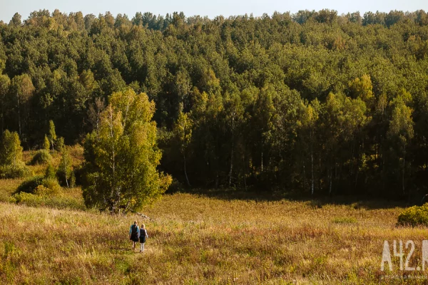 В Кузбассе за месяц 6 человек, объявленных в розыск, нашли погибшими