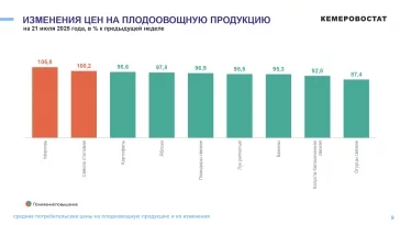 Фото: Кемеровостат: в Кузбассе за неделю цены на огурцы упали на 12% 2