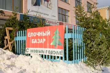 Фото: В Кемерове с 15 декабря откроются ёлочные базары: названы их адреса 1