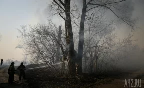 В Кузбассе мужчина отравился угарным газом в теплице, которую сам поджёг 