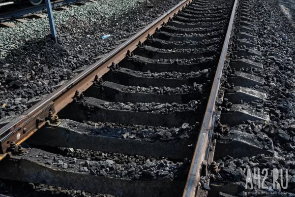 Строительство дороги для перевозки угля из Кузбасса в Китай сочли слишком дорогим