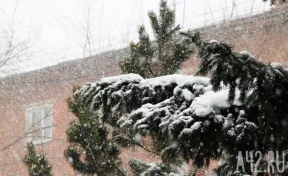 Кузбассовцы делятся кадрами снега, выпавшего 17 мая