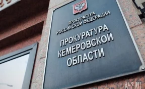 Прокуратура Кузбасса начала проверку из-за жёсткого ДТП, где пострадали дети
