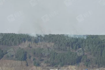 Фото: В Сосновом бору в Кемерове произошёл пожар 2