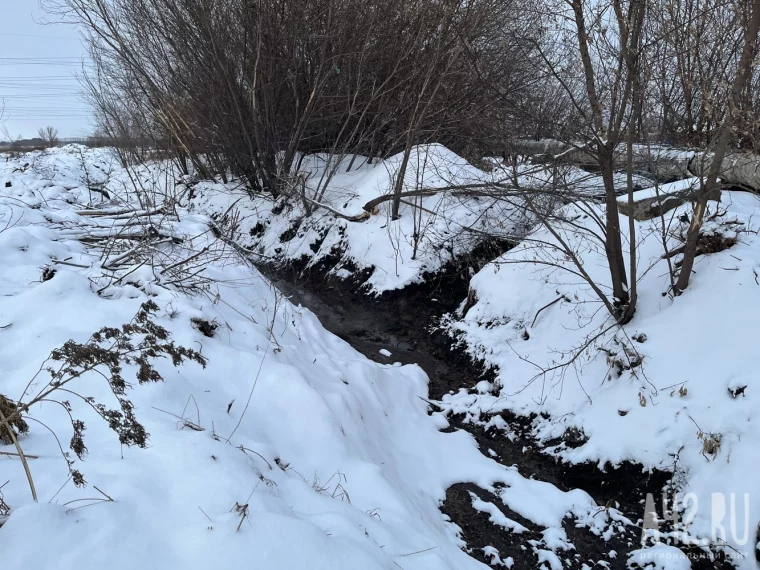 Фото: То ли подвал, то ли аквариум. Как беловчане живут в затопленных домах перед зимой 3