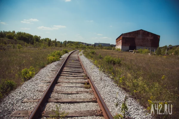 В Подмосковье нашли тело 14-летнего зацепера, пропавшего 2 недели назад