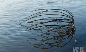 Бастрыкин отреагировал на жалобу жителей кемеровской Новостройки на сточные воды