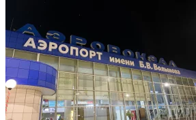 Туристка пыталась ввезти в Кузбасс чучело сиамского крокодила из Вьетнама: её задержали на таможне