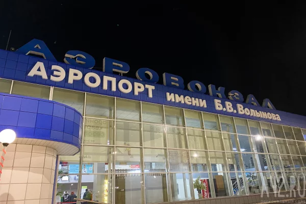 Туристка пыталась ввезти в Кузбасс чучело сиамского крокодила из Вьетнама: её задержали на таможне