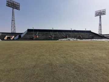 Фото: Дмитрий Анисимов: в Кемерове на стадионе «Химик» появится новый газон 1