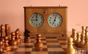 В детсады и школы Кемерова переданы наборы для обучения и игры в шахматы