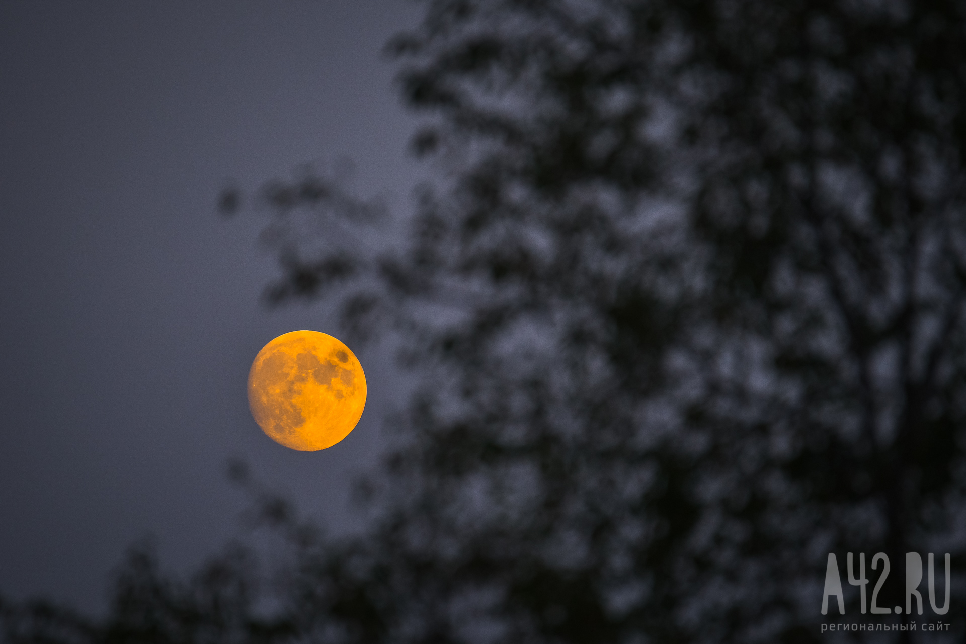Сближение Луны: интересное явление смогут увидеть кузбассовцы в звёздном небе в конце июля