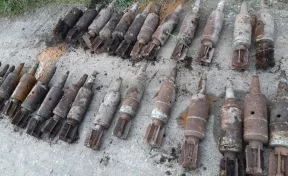 Грибник нашёл в лесу под Кемеровом десятки танковых снарядов