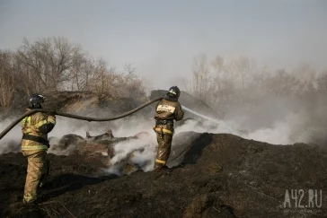 Фото: Появились фотографии горящего поля в Кировском районе Кемерова 3